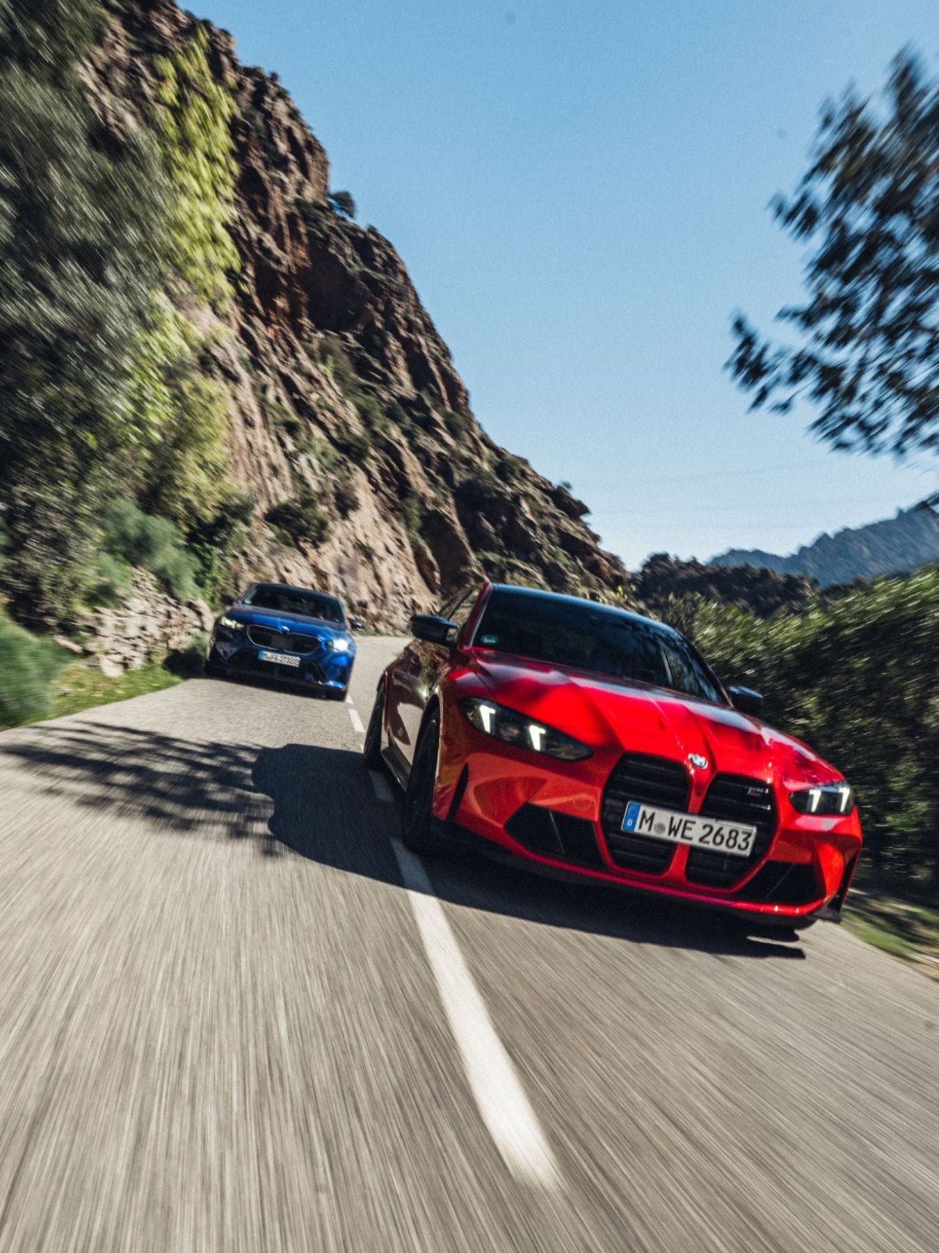 AREA M CUSTOM. - Born wild. And free.